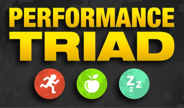 Performance Triad Logo