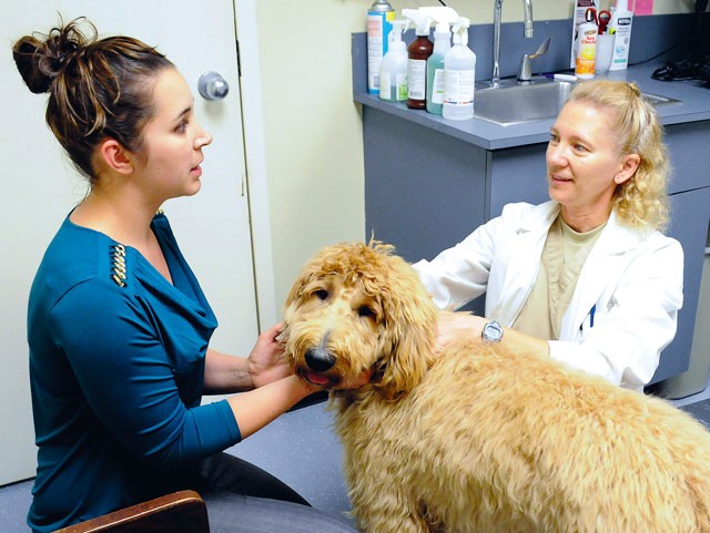 Post Veterinary Treatment Facility cares for animals at lower cost ...