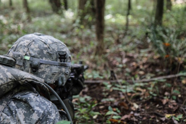 Scouts conduct field training, exercise reconnaissance skills