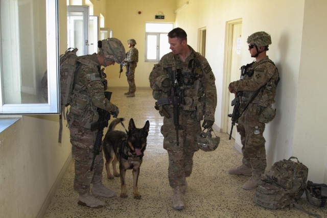 Military working dog helps protect service members