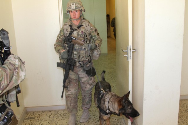 Military working dog helps protect service members