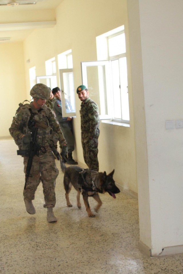 Military working dog helps protect service members