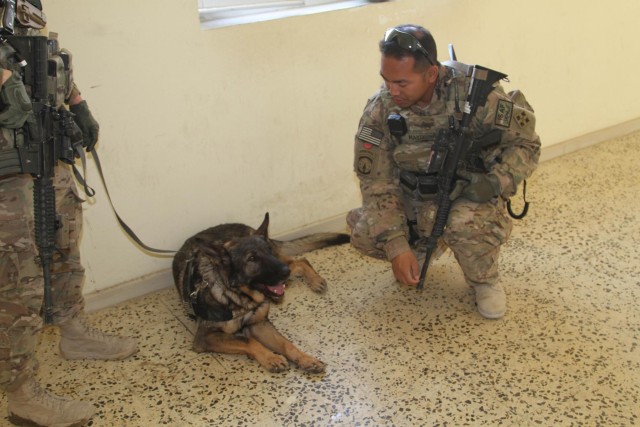 Military working dog helps protect service members