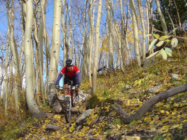 Program offers adrenaline rush