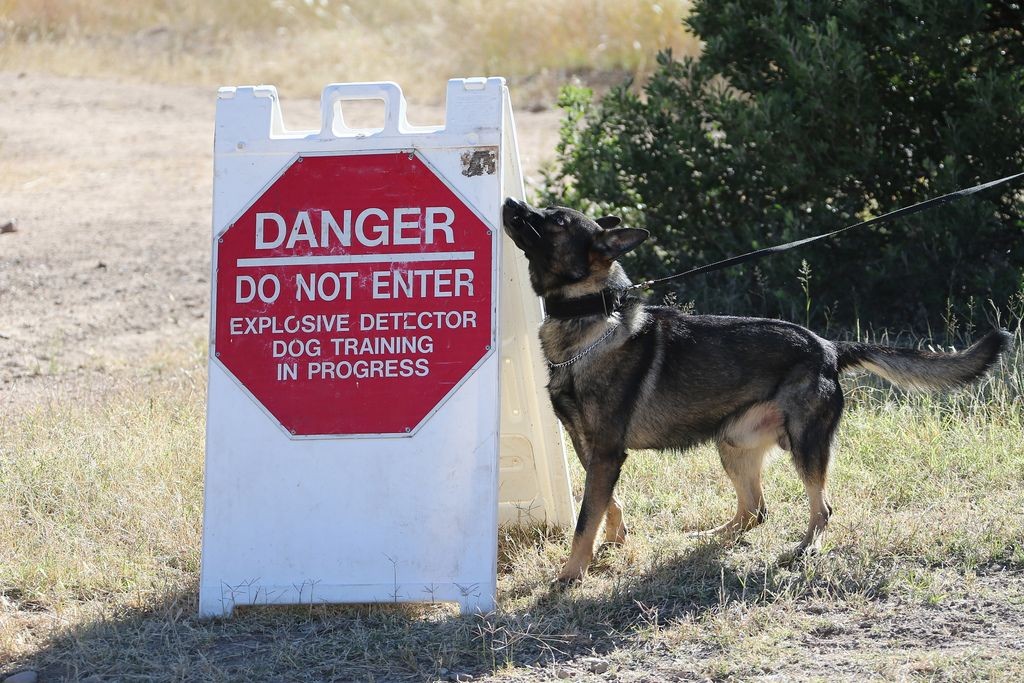 are german shepherds allowed on military bases