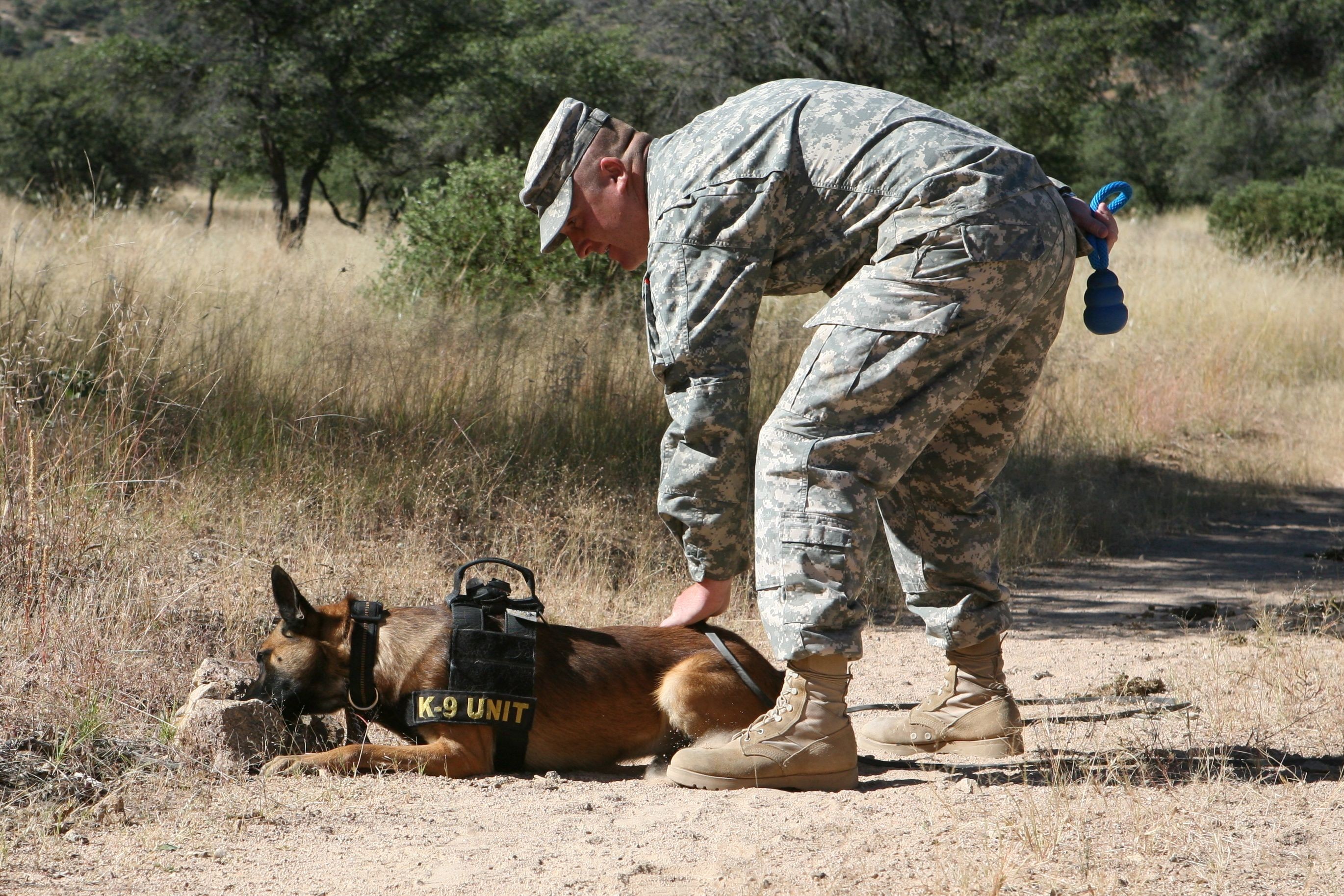 Paws up! Two new military working dogs arrive; first in three years ...