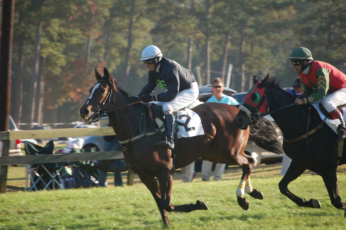 Steeplechase at Callaway Gardens Article The United States Army