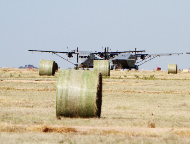 Hay