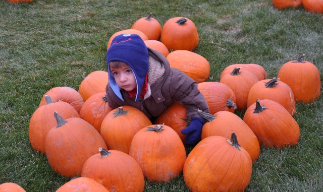 Fort Carson residents pick out perfect pumpkins