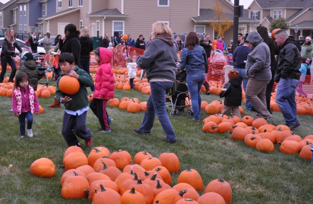 Fort Carson residents pick out perfect pumpkins