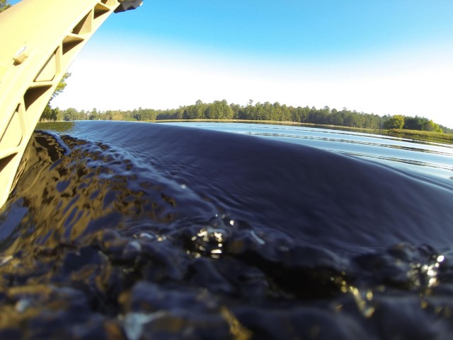 Final FOX swim