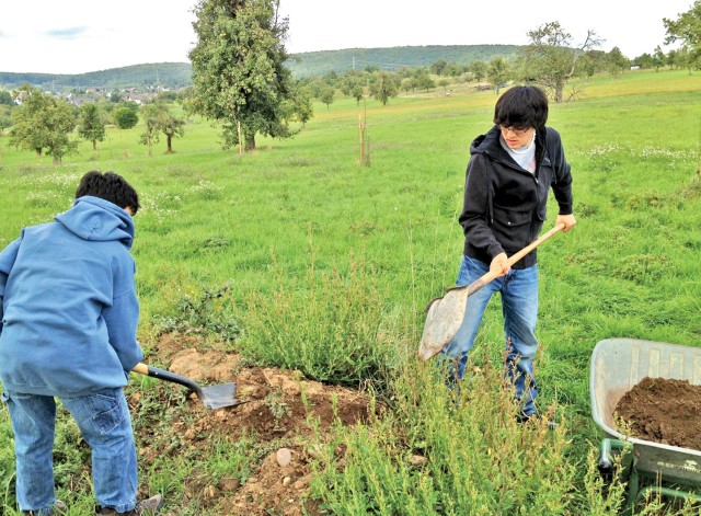 Eagle projects help preserve nature, history