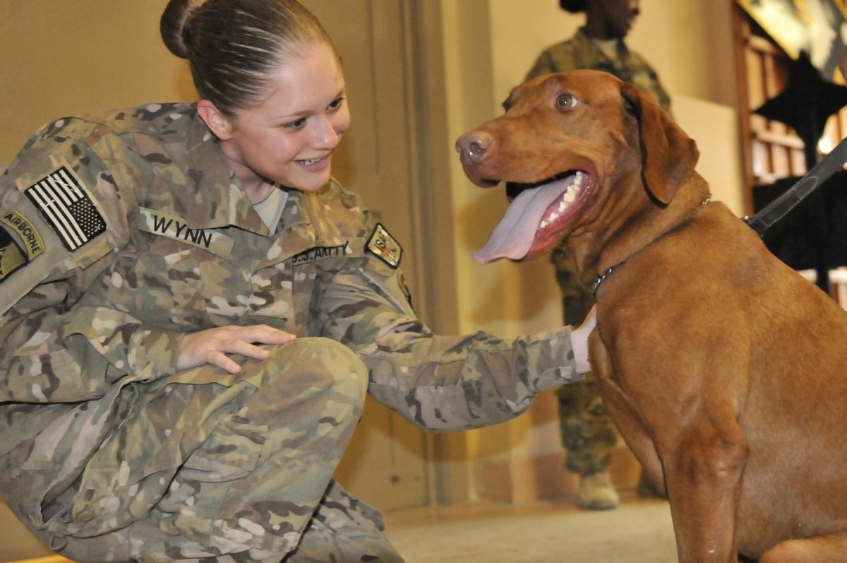 A dog gone good time | Article | The United States Army