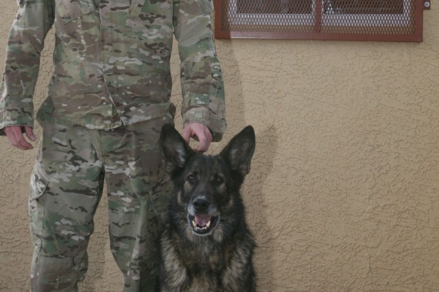 us army k9 unit