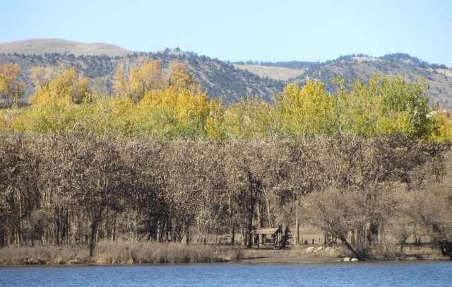 usa image