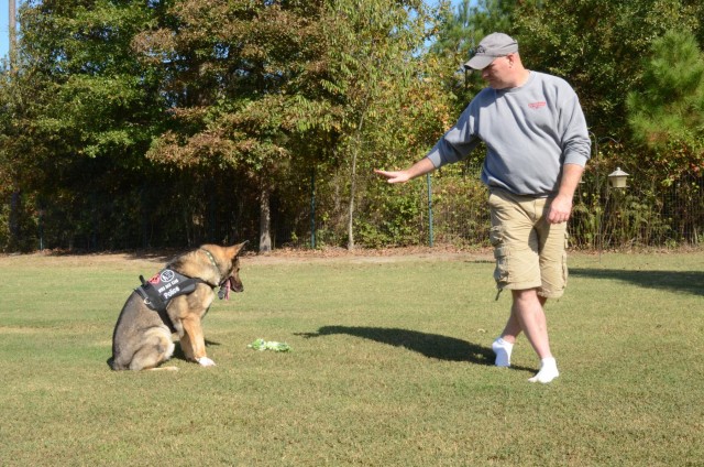 Veteran military working dog after retirement