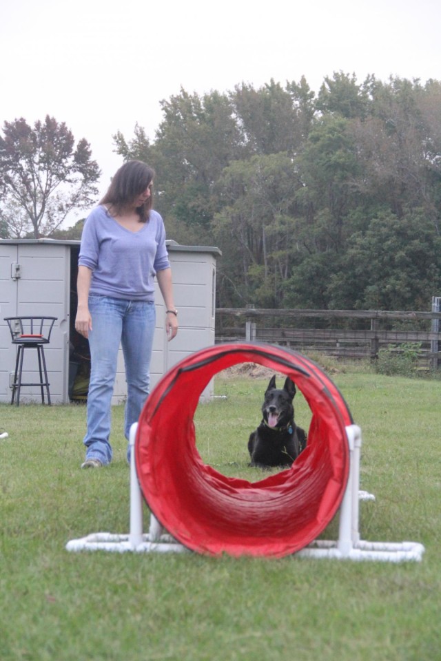 Retirement goes to the dogs