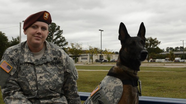 Retirement goes to the dogs
