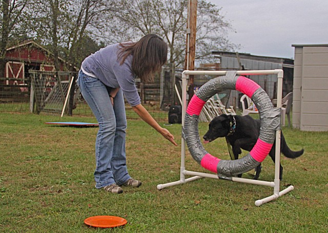 Retirement goes to the dogs