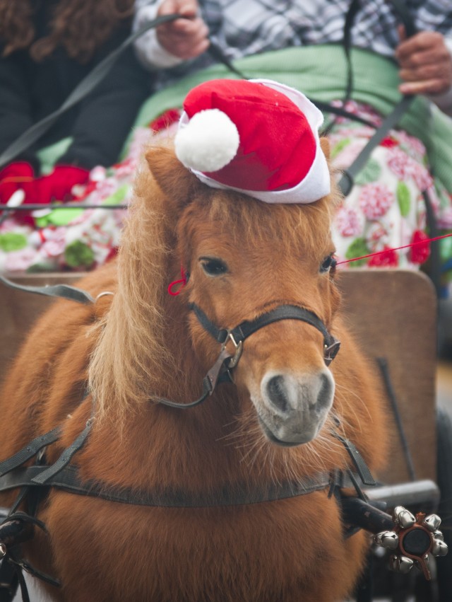 City turns out for Armed Services YMCA Children's Christmas Parade