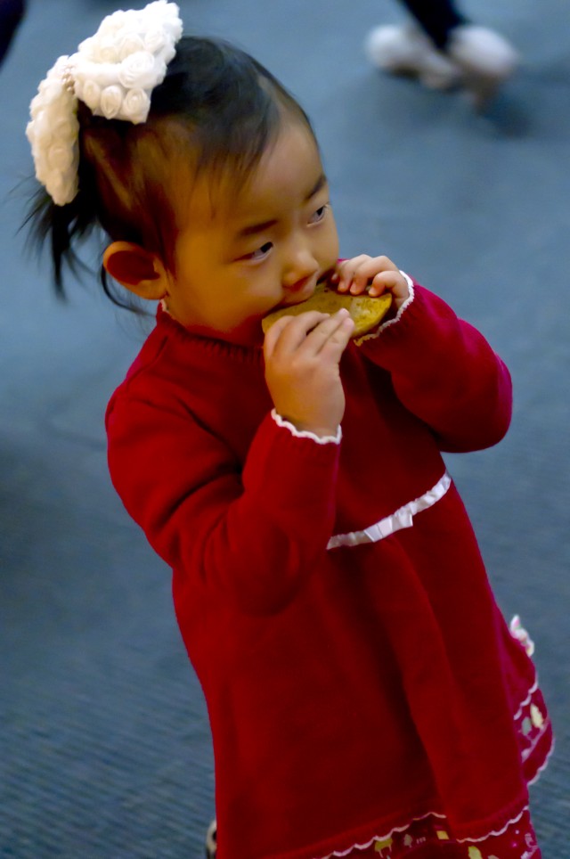 Tree lighting, social and bazaar open holiday festivities
