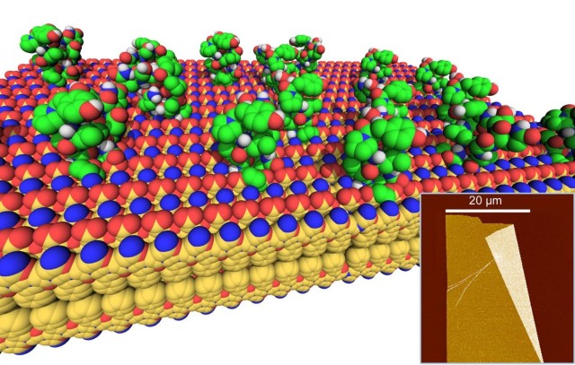 Biomimetic Functional Plastics Sense and Degrade Chem Bio Threats