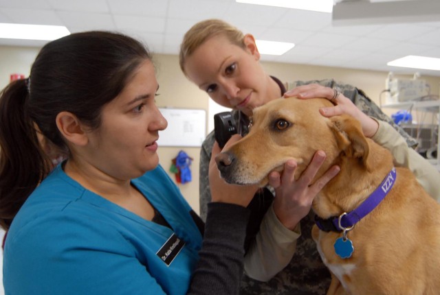 Keeping Animals Healthy