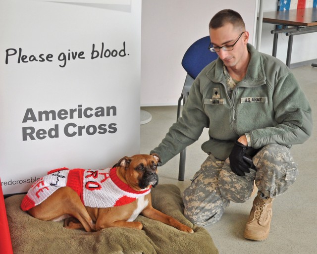 Soldier's dog is inspiration behind annual blood drive