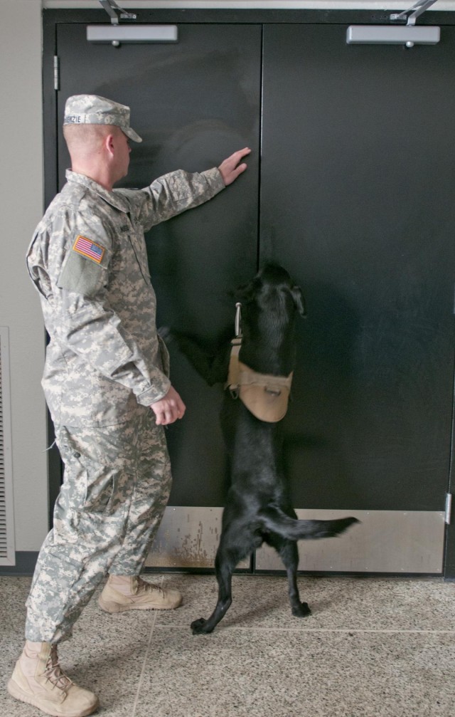 Checking the door