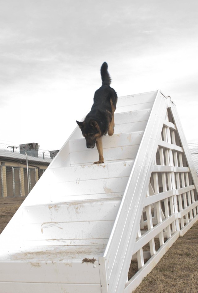 Stair climber