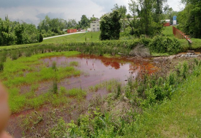 Contaminated lagoons restored to pasture land