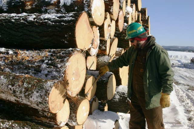 Fort McCoy timber harvest improves training capability for Young Air Assault Strip