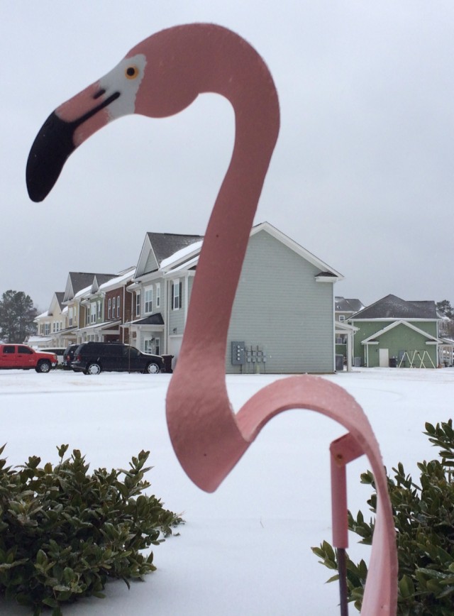 snow 3