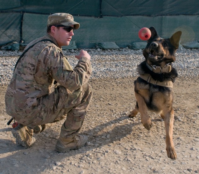 Battle buddy of a different kind