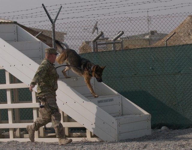 Battle buddy of a different kind