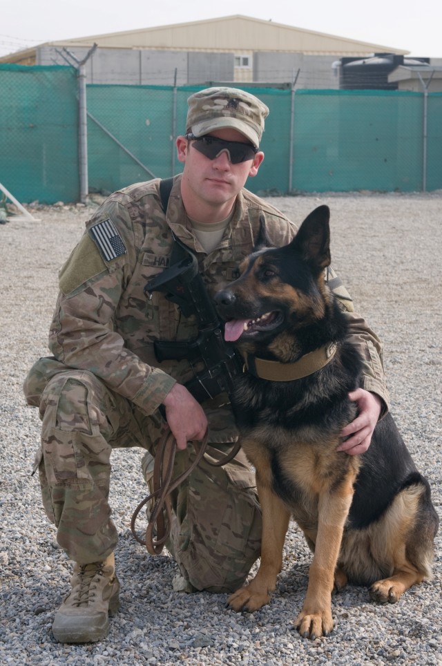 Battle buddy of a different kind