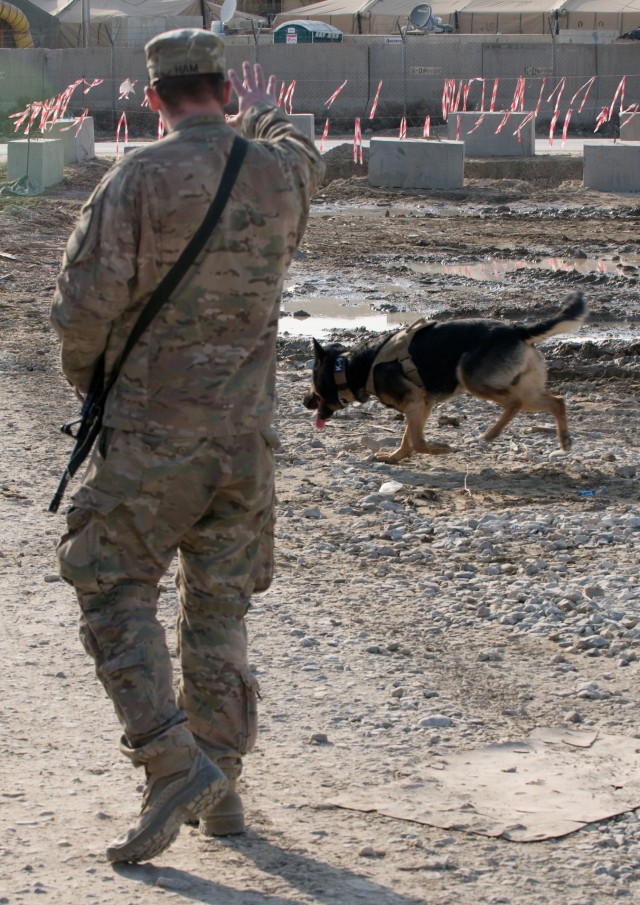 Battle buddy of a different kind