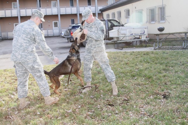 131st Military Working Dog Detachment