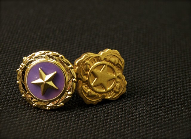 The Gold Star Survivor pins