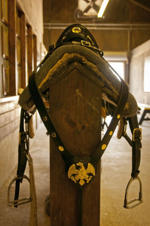 1st Cavalry Division horse saddle