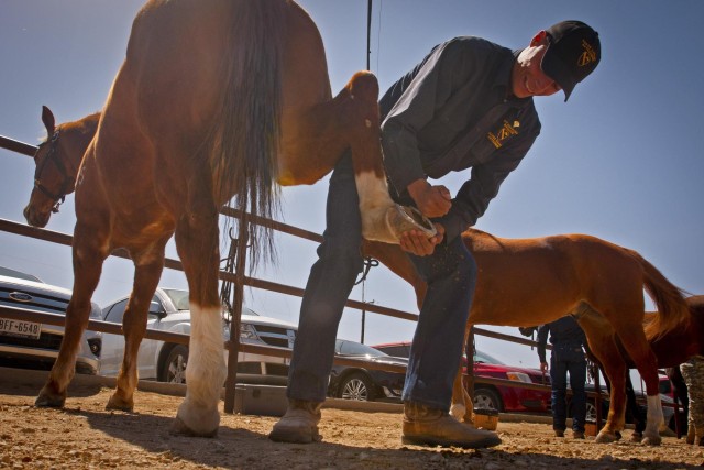 1st Cavalry Division Horse Cavalry Detachment