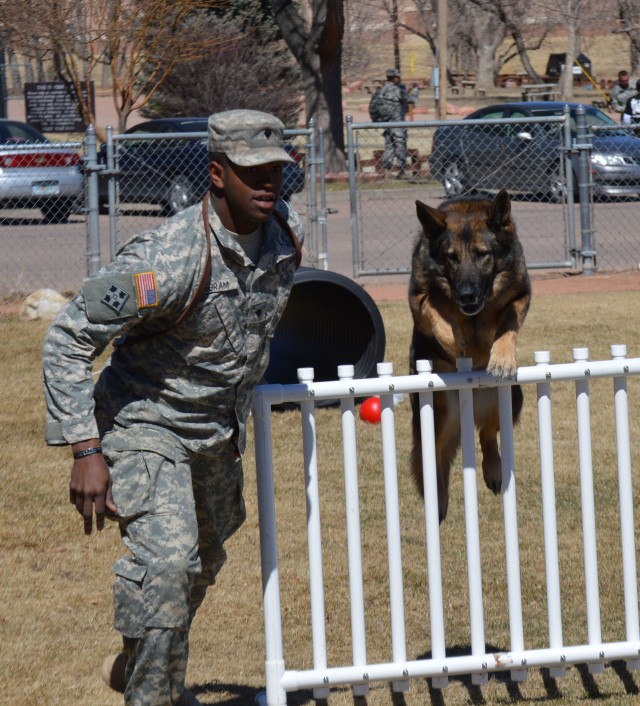 Top Dogs have their day
