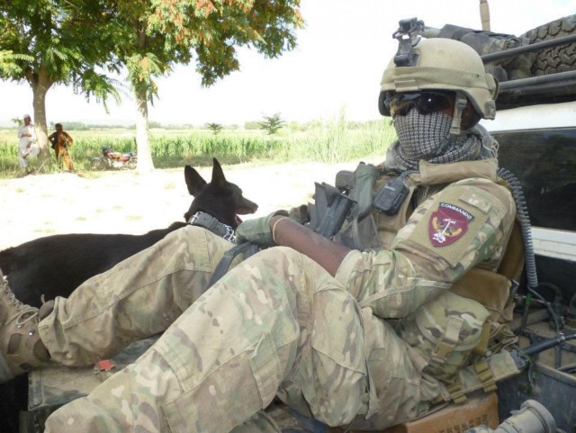 Military working dog serves with distinction