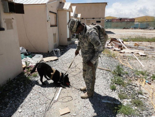 MWD supports special operations forces