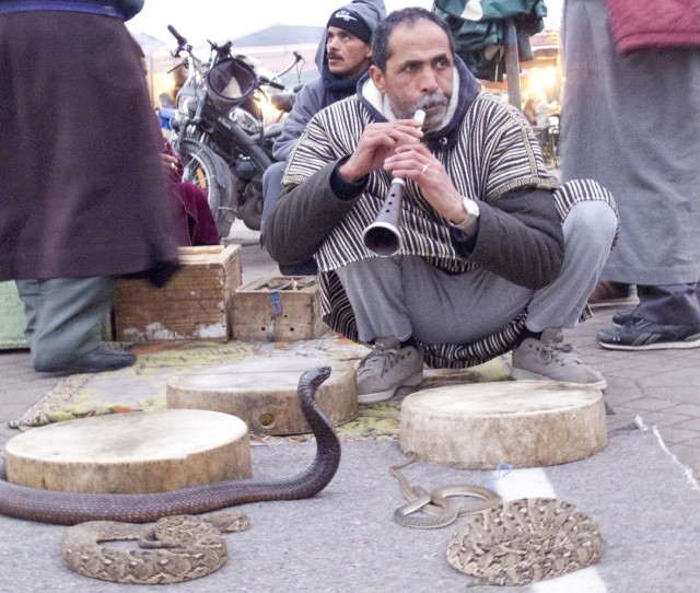 Snake Charmer