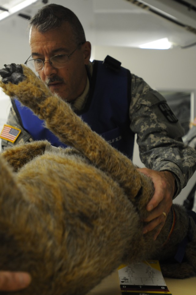 Veterinary Unit Gets Realistic Training Caring for Injured Military Working Dogs