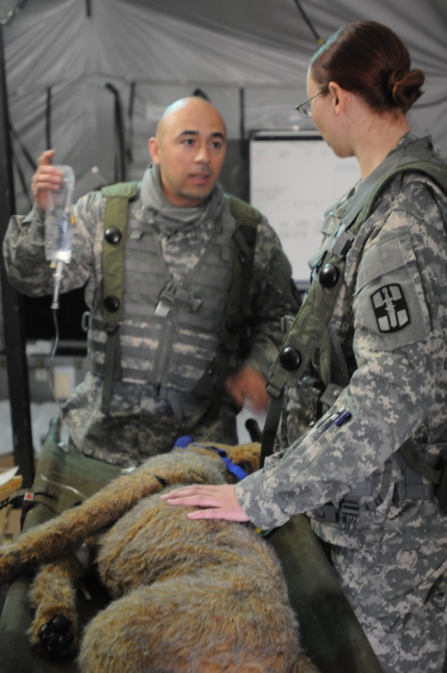 Veterinary Unit Gets Realistic Training Caring for Injured Military Working Dogs