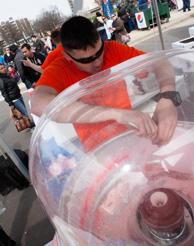 Marines, Soldiers celebrate emergence of cherry blossoms
