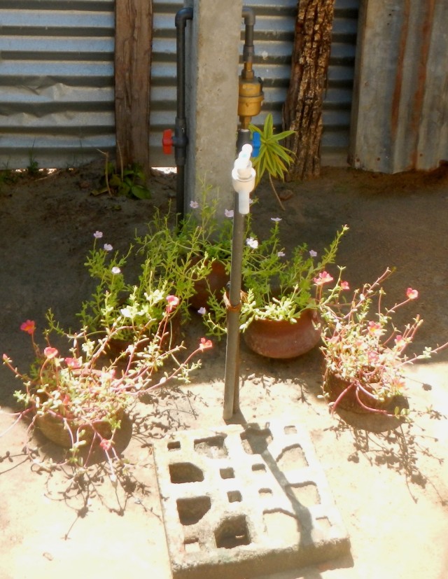 A water spigot