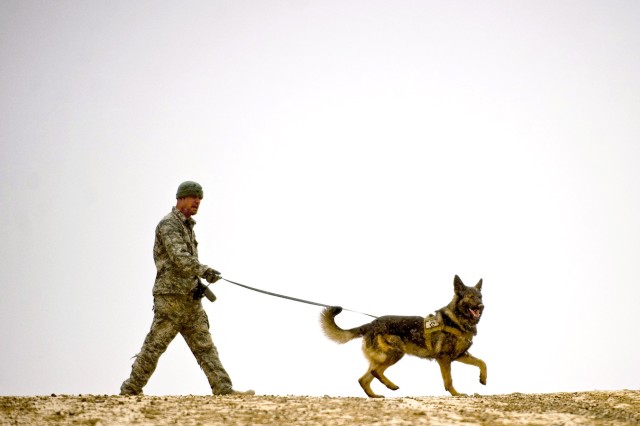 New deployable kennels for military dogs mitigate temperature extremes